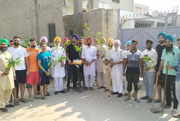 tree-platsion-program-by-sharan-foundation.png